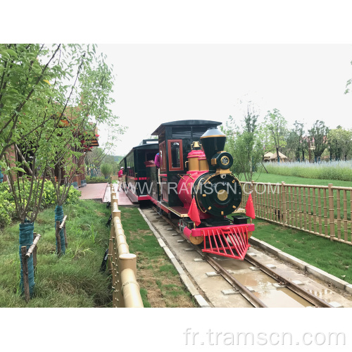 Train de piste d&#39;enfants de terrain de jeu